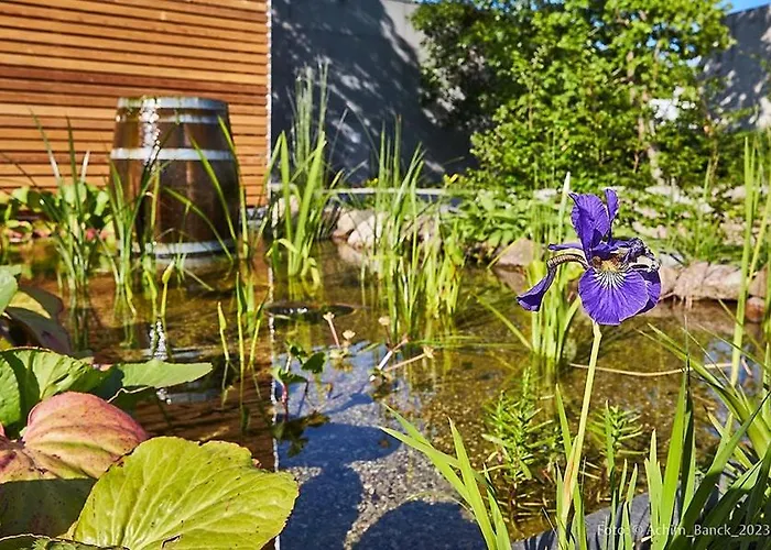 Aanders Hotel Neumünster